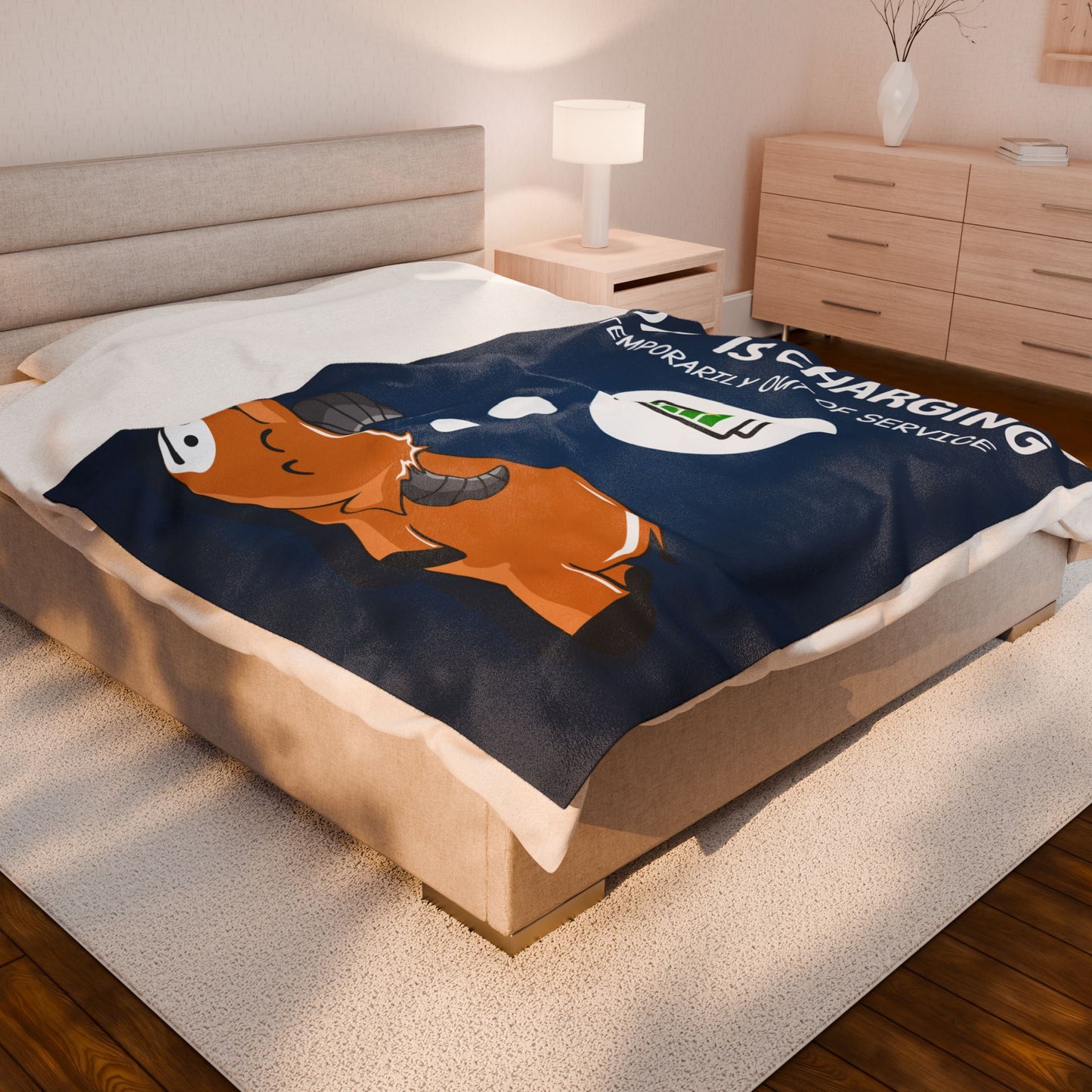 Velveteen Plush Blanket