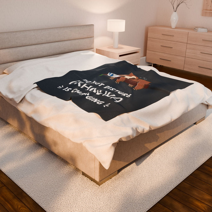 Do Not Disturb Grandpa Is Charging Blanket