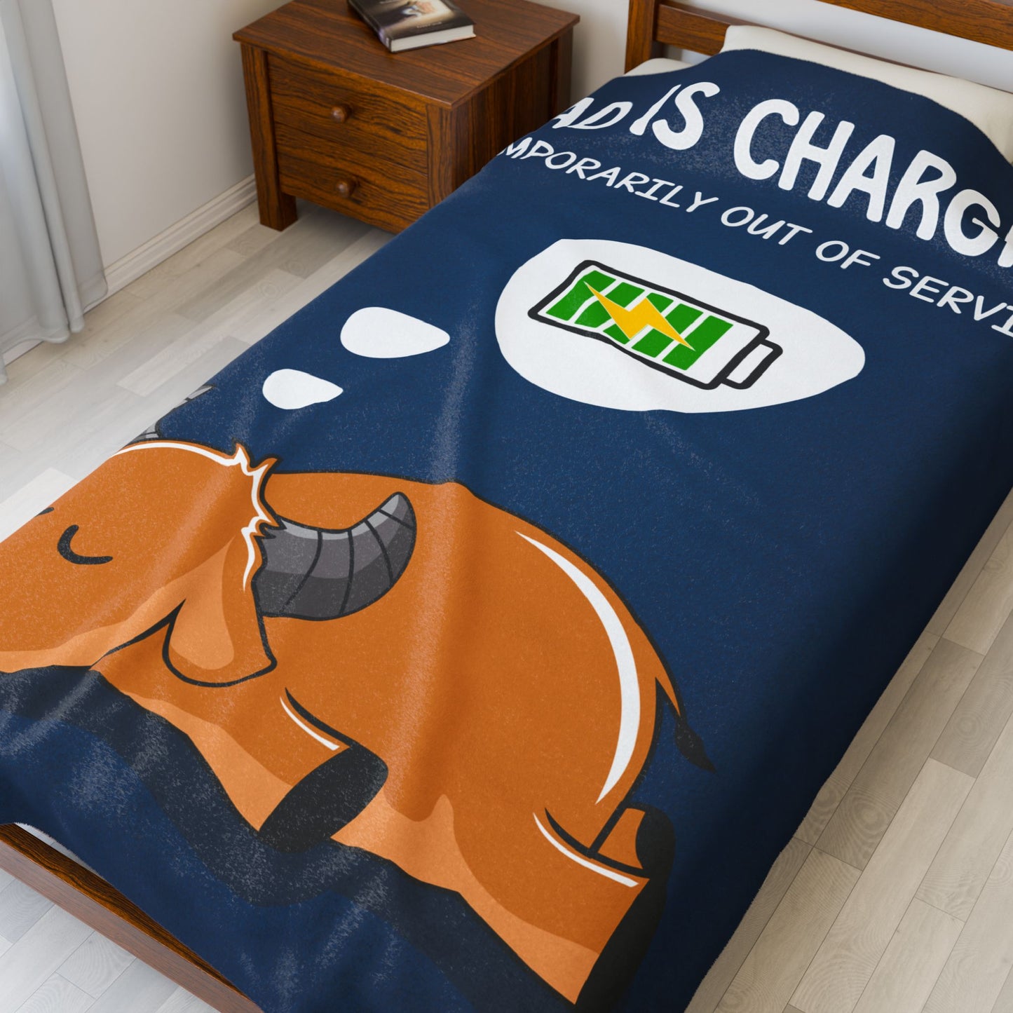 Velveteen Plush Blanket