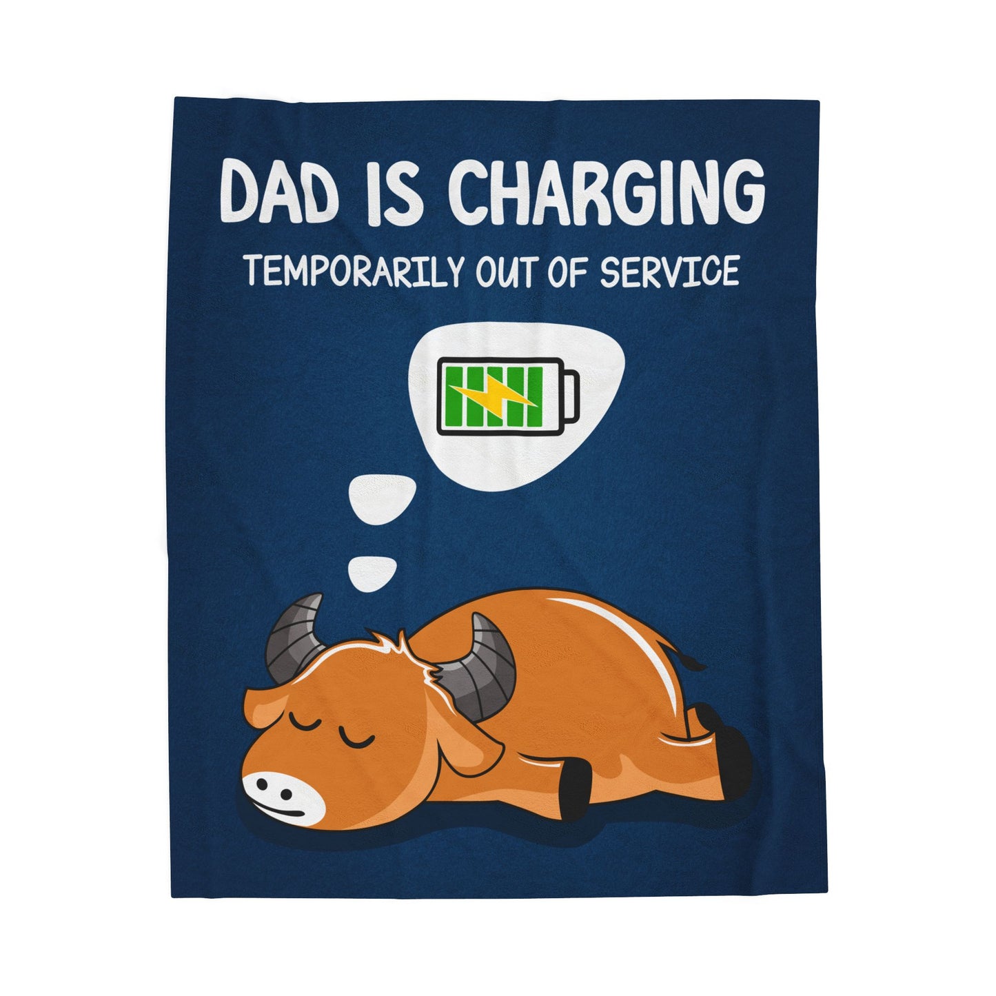 Velveteen Plush Blanket