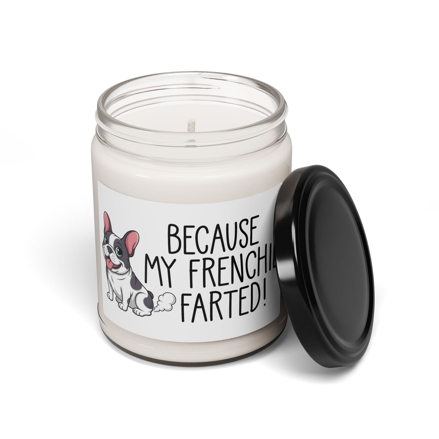 Because-My-Frenchie-Farted!