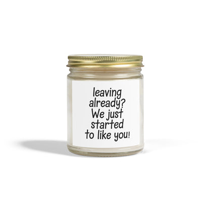 Leaving Already We Just Started to Like You Scented Candles, Coconut Apricot Wax (4oz, 9oz)